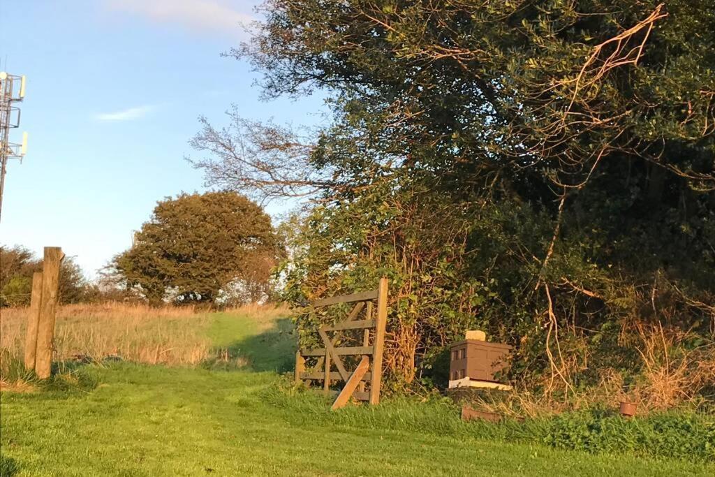 Foxesden, Unique Eco Cabin, Dartmoor Views South Brent المظهر الخارجي الصورة