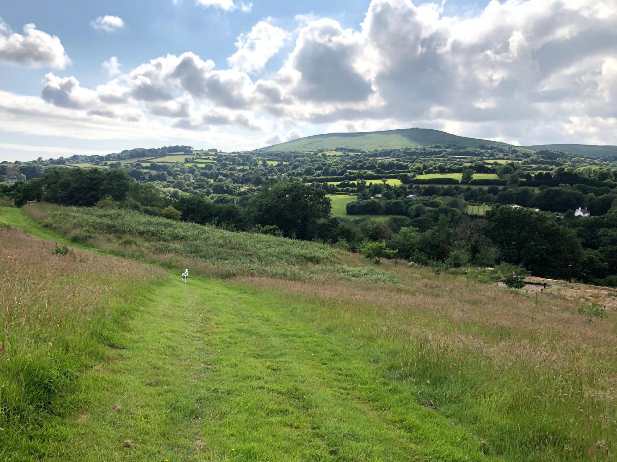 Foxesden, Unique Eco Cabin, Dartmoor Views South Brent المظهر الخارجي الصورة
