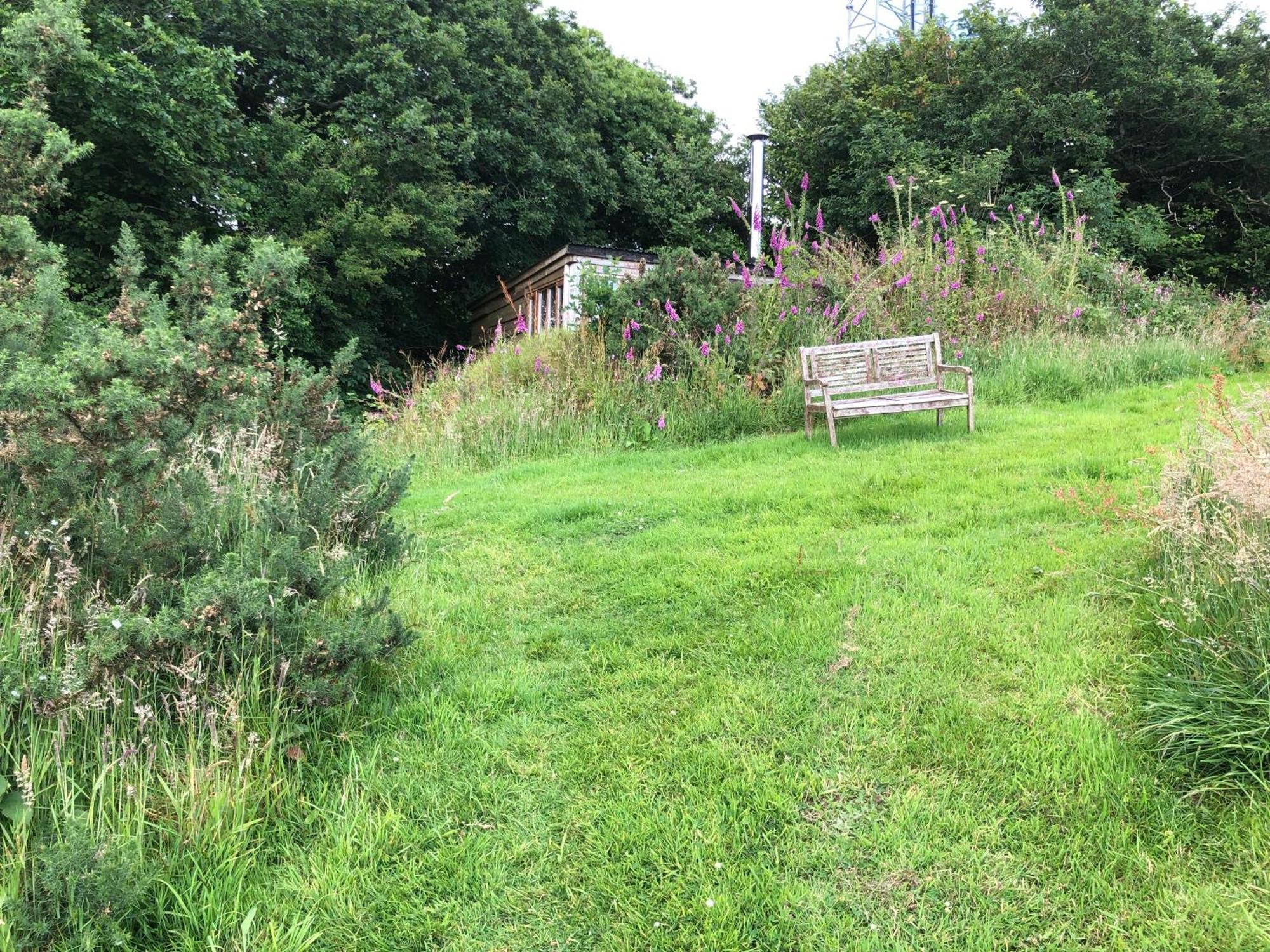 Foxesden, Unique Eco Cabin, Dartmoor Views South Brent المظهر الخارجي الصورة